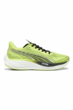 کتانی تمرین و دویدن پوما ایران مال Puma با کد 38008001