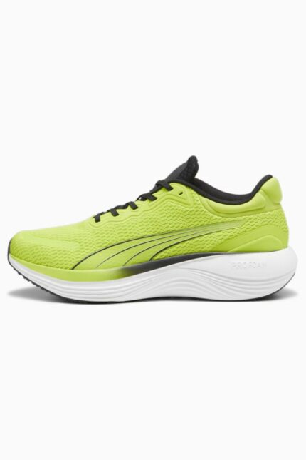 کتانی تمرین و دویدن پوما ایران مال Puma با کد 37877614