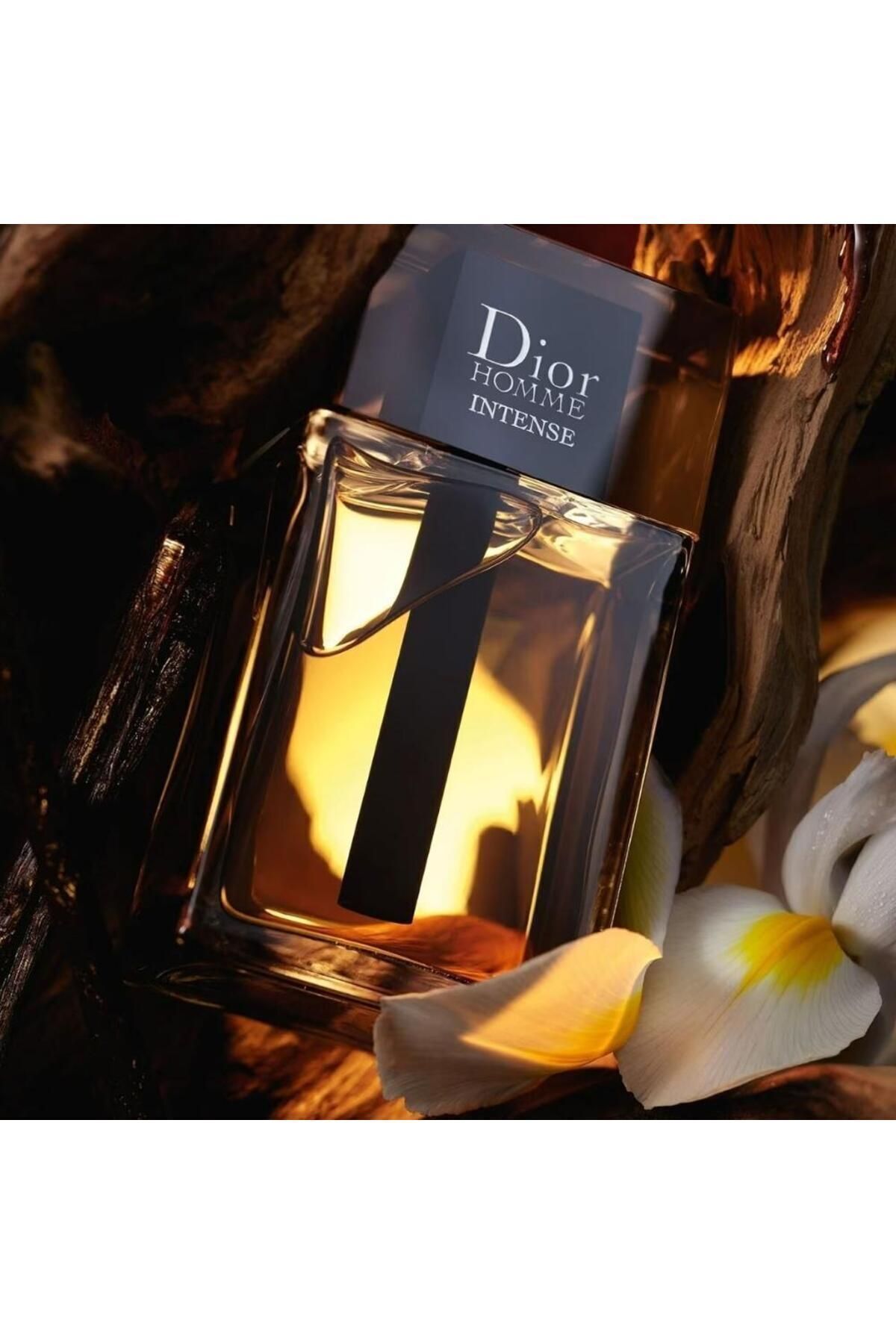 ادکلن دیور ایران مال Dior با کد 561565000000000